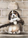 (image for) Vintage Beagle Puppy